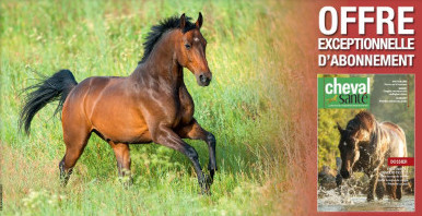 Abonnement Cheval Santé offre spéciale prix d'ami pour ASVinfos