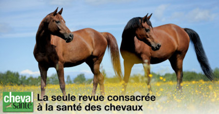 Cheval santé