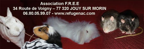 asso free
