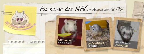 bazar nac