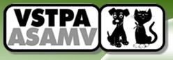 logo-asamv