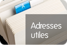 Adresses et liens Web pour les auxiliaires vétérinaires Adresses utiles
