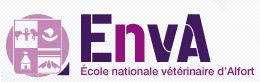 Centre hospitalier universitaire vétérinaire de Maions-Alfort logo_enva