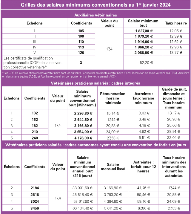Grille de salaire 2024 SNVEL