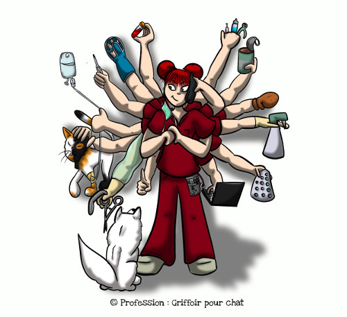 2440 griffoir pour chat auxiliaire veterinaire asv bd