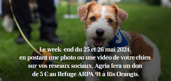 balade chien agria ill1