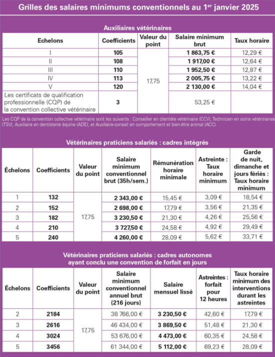 Grille de salaire 2024 SNVEL
