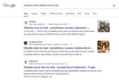 asv recherche google