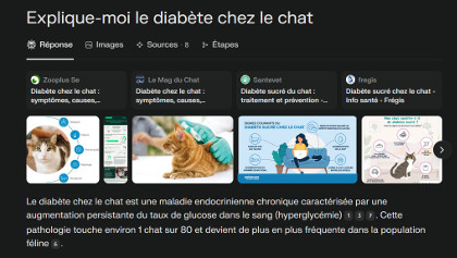 asv recherche perplexity