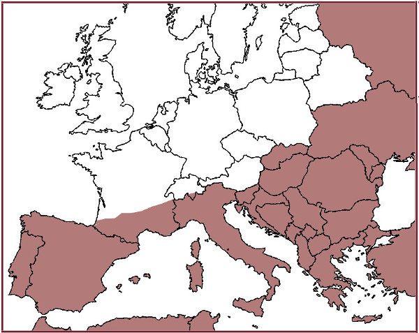 carte dirofilaria immitis europe