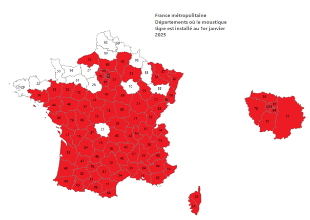 carte moustique tigre 2025