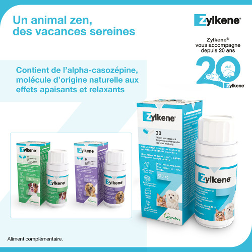PostRS SaisonZen Zylkene 2026 4 600