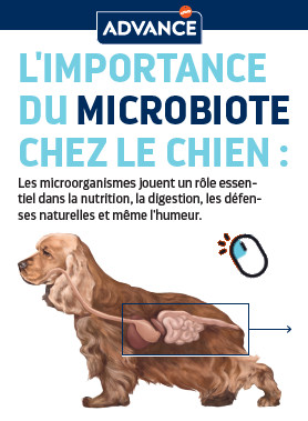 advance microbiote