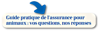 telecharger guide assurances