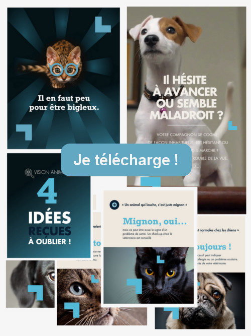 domes pharma sante oculaire