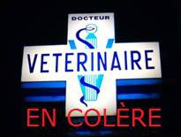 Veterinaire en colere