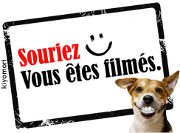 Vous etes filmes Kyomori