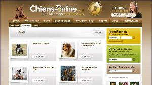 chiens_online_sante