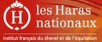 haras_nationaux