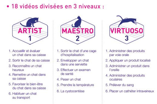 Bien être et accueil du chat CEVA cat handling program 3 niveaux
