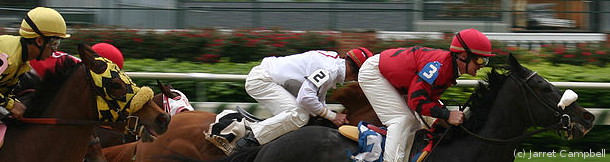 horse_race