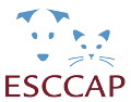 Logo ESCCAP France