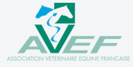 logo_avef