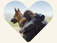 agria-assurance-animaux-asv-vignette