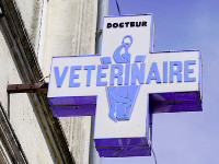 etablissements-soins-veterinaires
