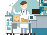vaccination-chien-chat