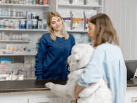 vente-medicament