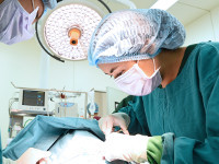 sterilisation-chienne