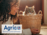 agria-catwalk2025
