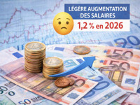 augmentation-2026-de-la-valeur-du-point-et-des-salaires-minimums-conventionnels-des-salaries-des-cabinets-cliniques-veterinaires-et-chv